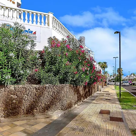 Daire Tenerifeopenhome Olympia 225 Costa Adeje