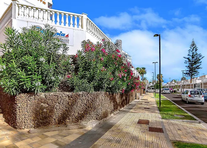 Appartement Tenerifeopenhome Olympia 225 Costa Adeje (Tenerife)